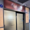 JD | 마포 마사지 JD스파 공덕점 바디건식마사지 후기