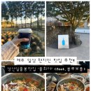 진저보틀 | 어쩌다 발견한 성산일출봉맛집 '물회야' + 블루보틀 진저스냅 놀라 후기!