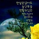 하이소