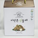 진하게 느껴지는 건강 한 잔, 산돌배즙 후기 🍐