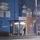 호아킴 | #3 사진일기, 잠원 한강공원 / 인벤타리오 / 효원공원 월화원 / 이케아