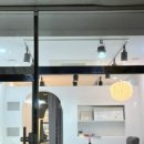 보들하이 이미지