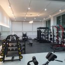 와우휘트니스 이미지