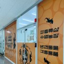 도도2농장 | 김포도마뱀샵 김포파충류샵 김포도마뱀분양 수염농장 김포점