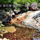 닭이봉 이미지