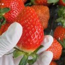 가람농장 이미지