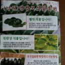 낙원모싯잎송편 이미지