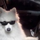 피브엔의원 | 패인 흉터 치료 ๑•ᴗ•๑ 부산 병원 발품 후기