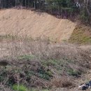 토지식당 이미지