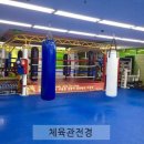 용인대GX복싱 이미지
