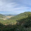 향일암로 이미지