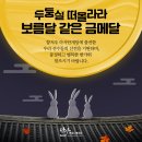 디자인단아 이미지