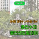 동천마을6단지작은도서관 | [공지] [동천센트럴자이] 직접 걸어봤습니다. 중개사가 직접 걷고 분석한 동천센트럴자이 리얼 임장기!