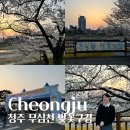 청주예술의전당 대전시실 | 청주 여행, 청주 무심천 벚꽃 구경 후기｜청주 벚꽃 명소, 청주 예술제