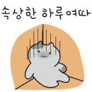 오렌지김밥 이미지