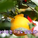 신성농장 이미지