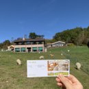 백촌목장 이미지