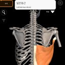 즐거운피티샵(개봉점) 이미지