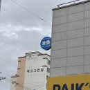 퍼피 그라운드 이미지