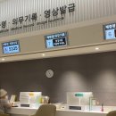 세종충남대학교병원버스정류장 | 세종 충남대병원 양수검사 비용 결과 후기