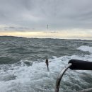 대야도항 | 태안 대야도항 쭈꾸미낚시 갔다가 갑오징어랑 한판붙은 썰