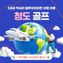 블루호라이즌호텔 | 청도 골프 여행 영해, 화산, 캐슬렉스 3색 패키지 5성급 호텔 후기