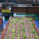 용전동 주민센터 이미지