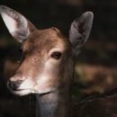 컨퍼런스하우스달개비정동점 이미지