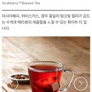 베리티