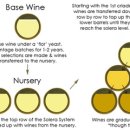 와인의 이해 이미지