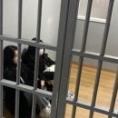 나리생곱창구이 전문점 이미지