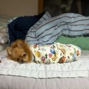 연수네김밥 이미지