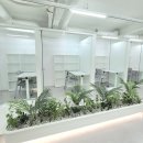 삼익영어공부방 | 송파 여학생독학재수학원 추천, 왜 여학생전용 스마트정일일까?