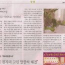 신창3차호반베르디움 이미지