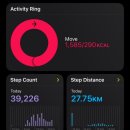 팔공산녹색길 숲길 1코스 | 대구 팔공산 등산 후기｜왕복 6시간 걸림·케이블카·팔공산식당당 완벽 가이드