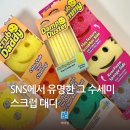 신박한세차 | 스크럽 대디 수세미 추천 집들이 연말 선물로 좋은 정품 사용 후기