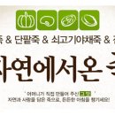 새싹의 아침 이미지