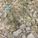 강원 20대 명산 영월 발산(鉢山, 667m) 산행 #3 이미지