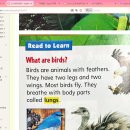 강민서 l 초2 l Science 1-13 More Animal Groups 이미지