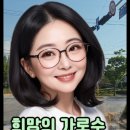 희망알씨 이미지