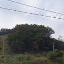 광시면010 이미지