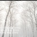 영상시노래 ＜ 풍장 ＞ 시:김세영 , 작곡 노래: SUNO, AI 이미지:GROK 이미지