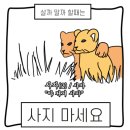 돌아본 공간 | 이타인 : 2024년 한 해를 돌아본 기록