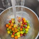 브니엘농장 이미지