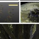 은행청과 이미지