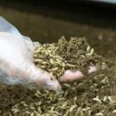 농업회사법인㈜엔토모 이미지