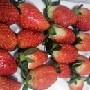 윤슬농장 이미지