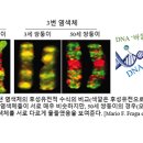 붓다와 뇌과학 10 | 고결한 웰빙 이미지