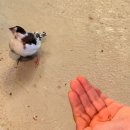 킹카메니저 | 서울 경기도 인근 나들이 추천 오산 버드파크 내돈내산 방문 후기