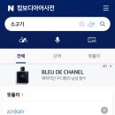피에이비 | chill 그 자체, 짧지만 행복했던 호주 멜버른 비행일기